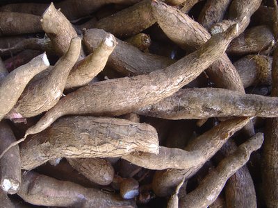Yuca