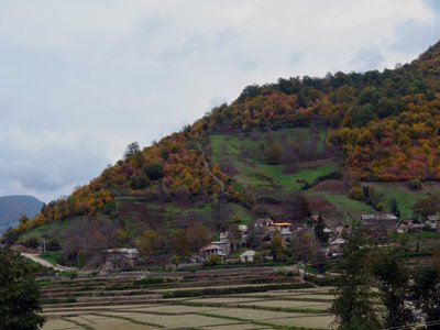 Zalam