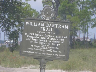Bartram Oak
