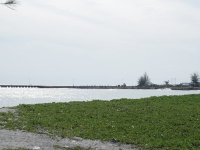 Barus