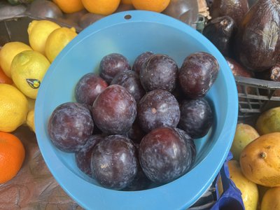 Black Plum
