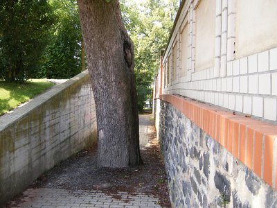 Bottleneck Tree