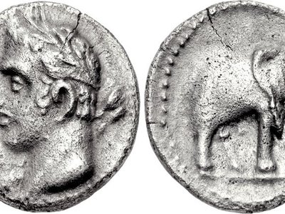 Carthaginian Palm