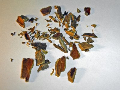 Cascara Buckthorn