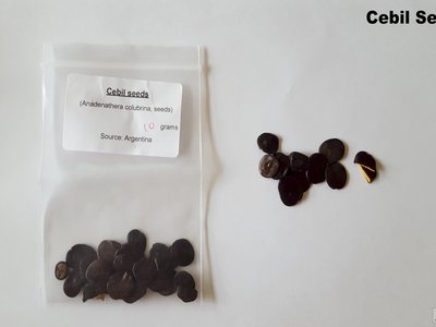 Cebil