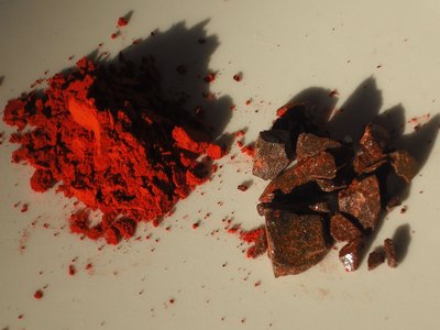 Daemonorops draco
