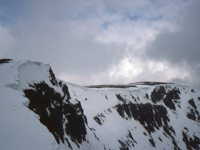 Gale Alder
