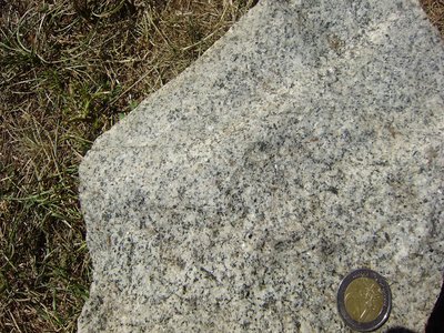 Granodiorite