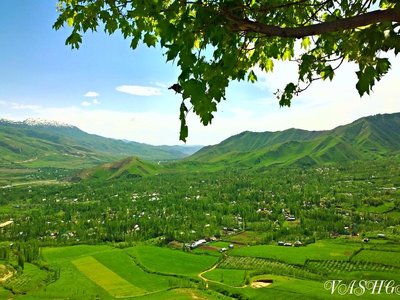 Ilak