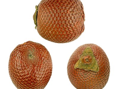 Ita Palm