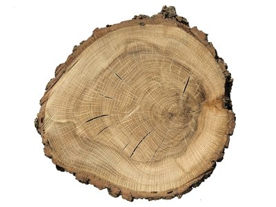 Italian Oak