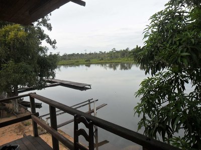 Itauba