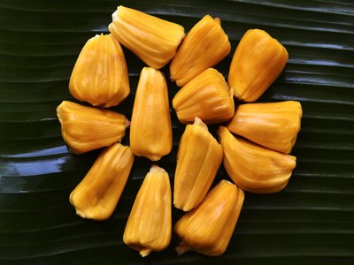 Jackfruit