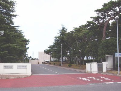 Jaea