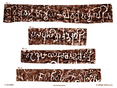 Kadamba