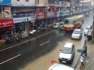 Kanjirapalli