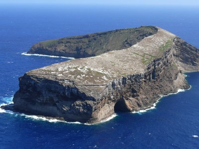 Kaula