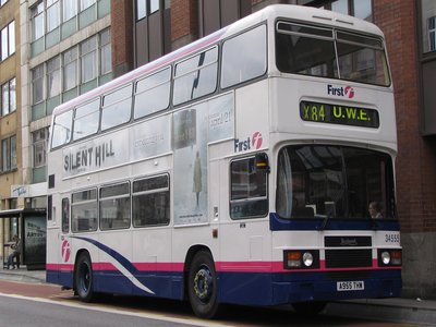Leyland Willow