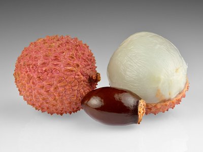 Litchi