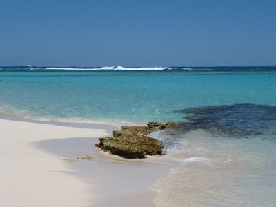 Loblolly Bay