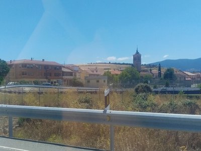 Madrona