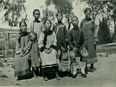 Manchuria Ash