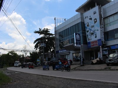 Molave