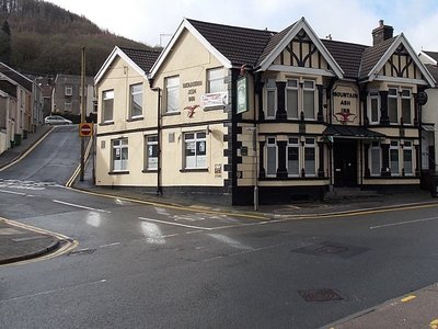 Mountain Ash