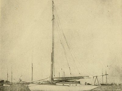 Noble Mahogany