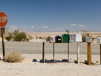 Ocotillo