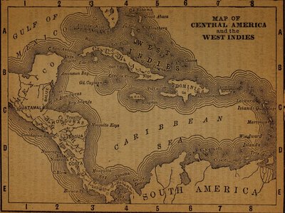 Orinoco Ebony