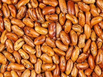 Red Kidney Bean