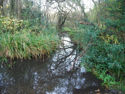 River Heath