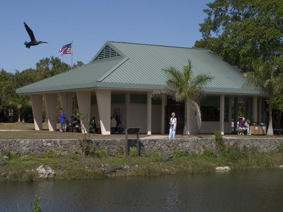 Royal Palm