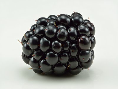 Rubus
