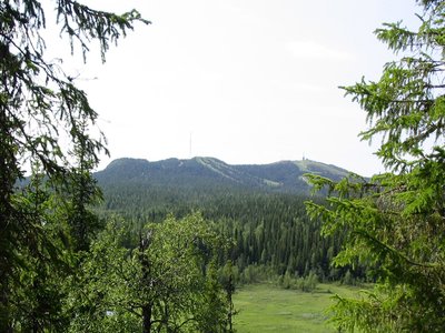 Ruka