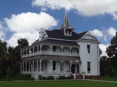 Sabal Palm