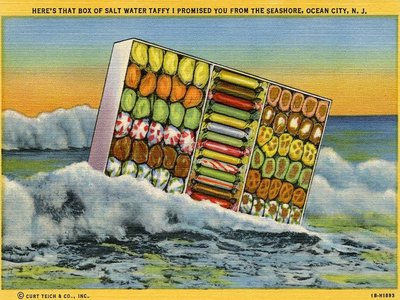Salt Gum