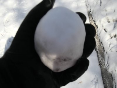 Snowball