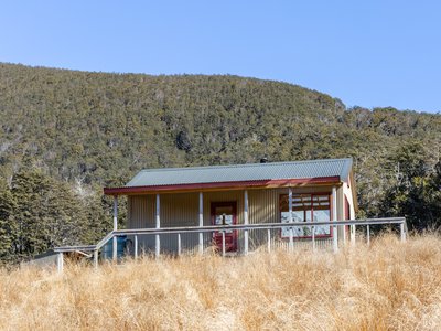 Speargrass