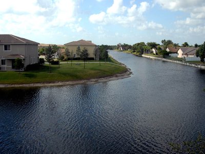 Tamarac