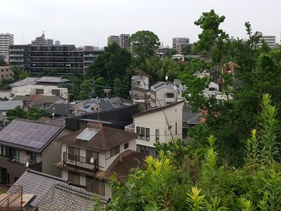 Tani