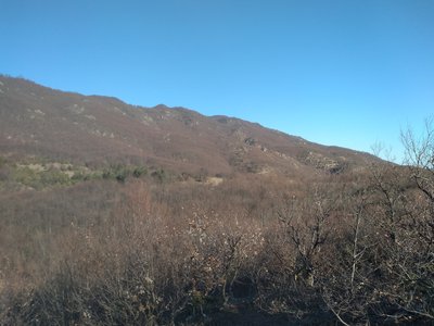 Unka