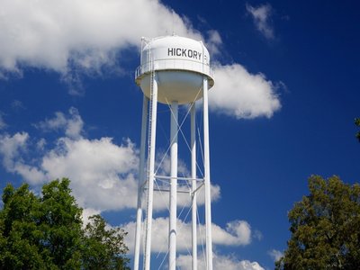 Water Hickory