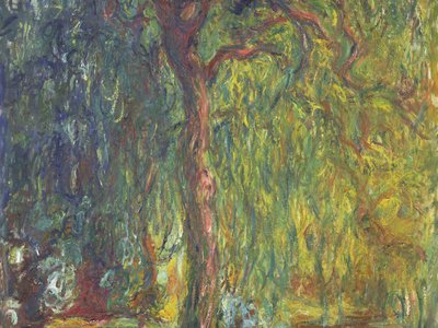 Weeping Willow