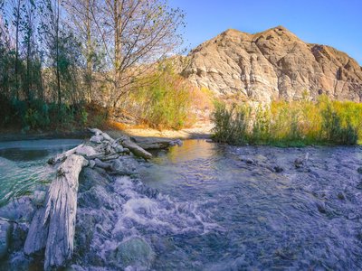 Whitewater Willow