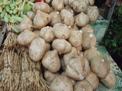 Yam Bean