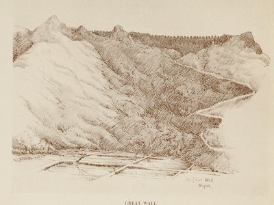 Yangtze Fir