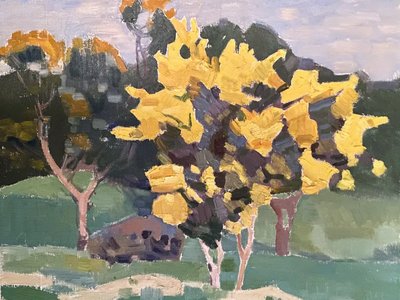 Yarrow Tree