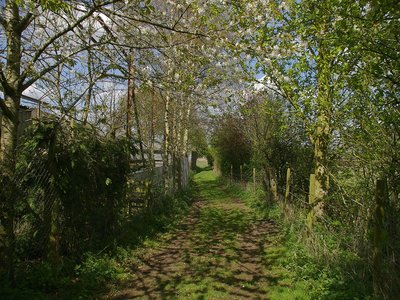Yate